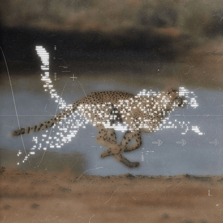 Software Engineer II